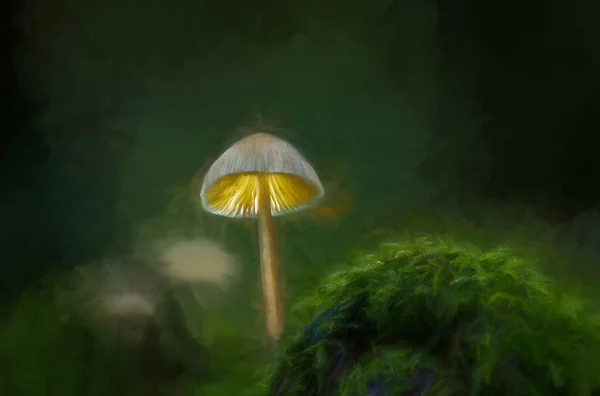 Digital Painting Fantasy Mushrooms Glowing Dark Magical Enchanted Woodland — Stock Photo, Image