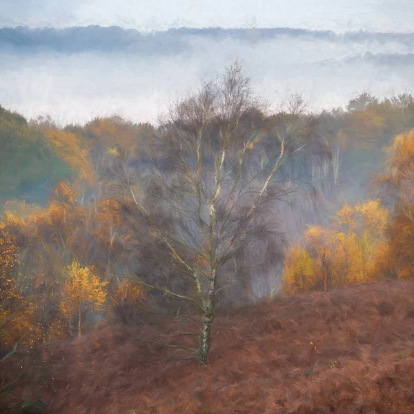 Digitale Malerei Eines Sonnenaufgangs Und Goldene Herbstbaum Und Blattfarben Den — Stockfoto