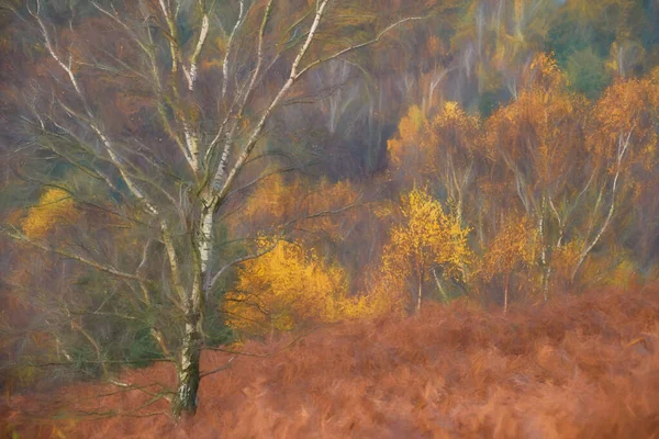 Pintura Digital Nascer Sol Cores Douradas Outono Outonal Árvores Folhas — Fotografia de Stock