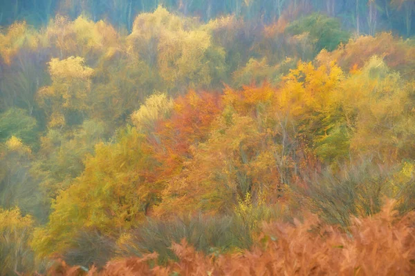 Digitale Malerei Eines Sonnenaufgangs Und Goldene Herbstbaum Und Blattfarben Den — Stockfoto