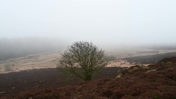 Roaches Peak District National Park Staffordshire Reino Unido Niebla Niebla — Vídeo de stock