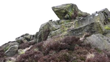 Hamamböcekleri, Staffordshire Tepesi 'nde kışın fundalık ve kayalıklar..