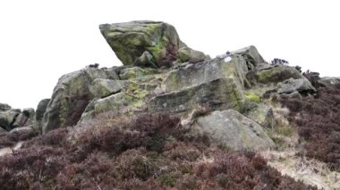 Hamamböcekleri, Staffordshire Tepesi 'nde kışın fundalık ve kayalıklar..