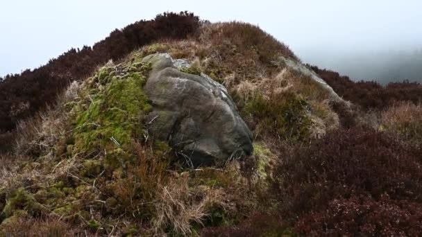 Bleak Wrzosowiska Wrzosowiska Skały Karaluchach Staffordshire Peak District Zimie — Wideo stockowe