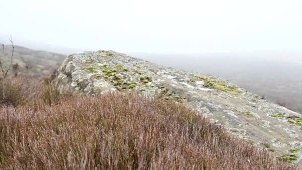 Bleak Moor Heidekraut Und Felsen Bei Den Kakerlaken Staffordshire Peak — Stockvideo