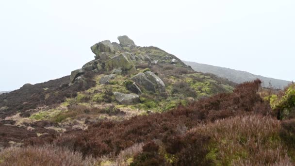 Dålig Hedmark Ljung Och Stenar Kackerlackor Staffordshire Peak District Vintern — Stockvideo