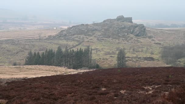 Bleak Moorland Heather Rocks Roaches Staffordshire Peak District Winter — Stock Video