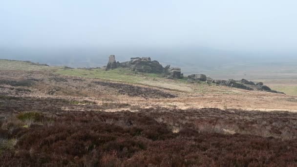 Bleak Moorland Heather Rocks Roaches Staffordshire Peak District Winter — Stock Video