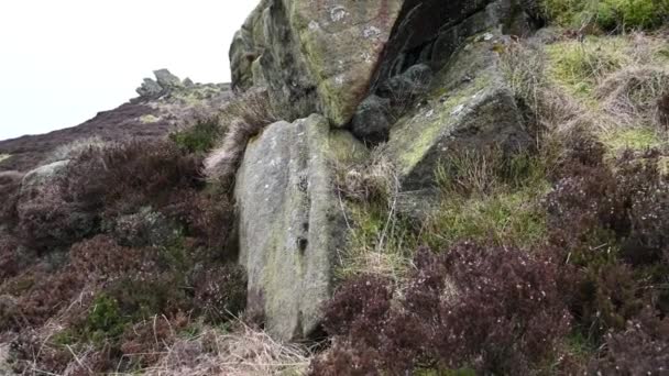 Moorland Heather Rocks Roaches Staffordshire Peak District Winter — Stock Video