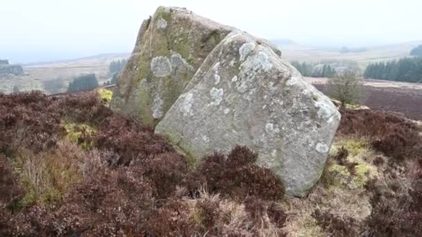 Moorland Heather Rocks Roaches Staffordshire Peak District Winter — Stock Video