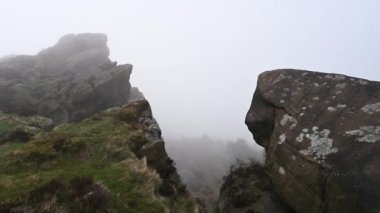 Kasvetli bozkır, orman, hamamböcekleri kayalar ve sis, Yukarı Hulme Tepe Bölgesi Ulusal Parkı, Staffordshire, İngiltere.
