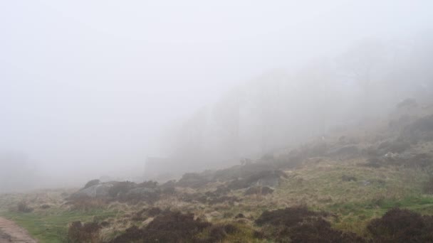 Bleak Moor Woods Rock Mist Roaches Upper Hulme Peak District — стокове відео