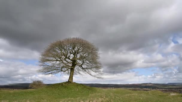 Time Lapse Scurrying Clouds Grindon Moor Peak District Staffordshire — Vídeo de stock