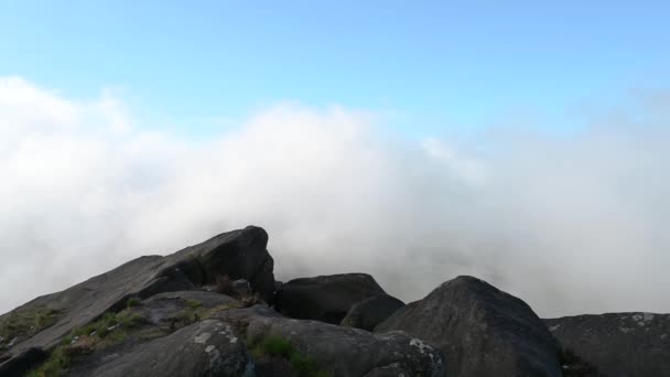 山顶区国家公园的蟑螂园全景 — 图库视频影像