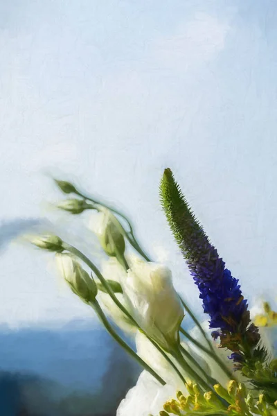 Купка Білих Троянд Цвітіння Природній Обстановці Саду Невеликою Глибиною Різкості — стокове фото