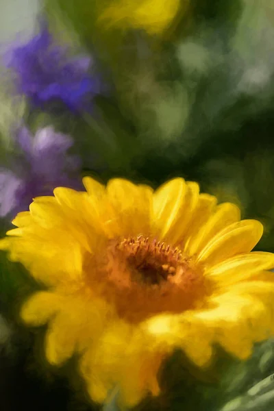 Sarı Turuncu Ayçiçeğinin Dijital Tablosu Sığ Bir Alan Derinliğinde Çiçek — Stok fotoğraf