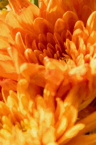 Digital Painting Yellow Orange Aster Flowers Bloom Shallow Depth Field — Stock Photo, Image