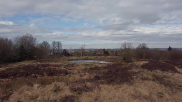 Wetley Moor Staffordshire Zdjęcia Dronów Typowym Brytyjskim Krajobrazem Wrzosowiska Kwiecień — Wideo stockowe