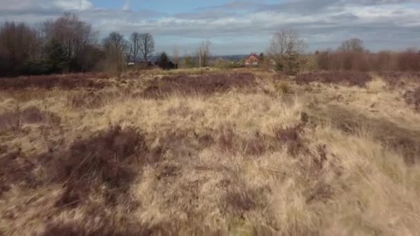 Wetley Moor Staffordshire Zdjęcia Dronów Typowym Brytyjskim Krajobrazem Wrzosowiska Kwiecień — Wideo stockowe