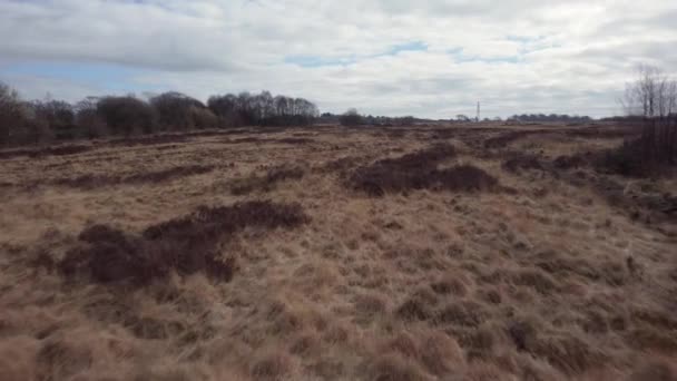 Wetley Moor Staffordshire Images Cinématographiques Drones Paysage Typique Des Landes — Video