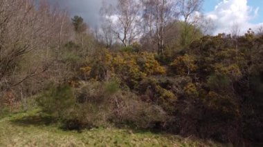 Park Hall Golf Parkı, Stoke-on-Trent. Tipik bir İngiliz parkının 4K insansız hava aracı görüntüsü. Nisan 2022.