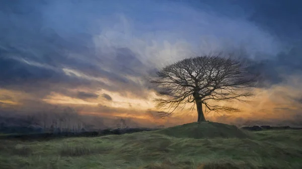Cyfrowy Abstrakcyjny Obraz Olejny Samotnego Drzewa Wschodzie Słońca Grindon Moor — Zdjęcie stockowe