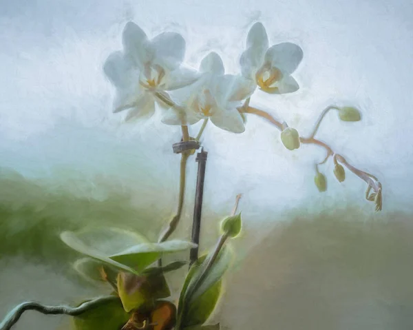 Beaux Arts Œuvres Art Peinture Huile Abstraite Numérique Une Orchidée — Photo