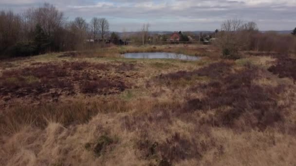 Wetley Moor Staffordshire Filmiska Ariel Drönare Bilder Typiska Brittiska Hedlandskap — Stockvideo