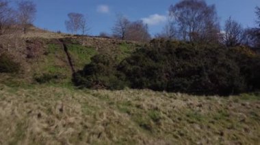 Park Hall Golf Parkı, Stoke-on-Trent. Ariel 4K, tipik bir İngiliz parkının insansız hava aracı görüntüsü. Nisan 2022.