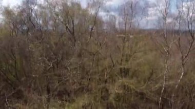 Park Hall Golf Parkı, Stoke-on-Trent. Tipik bir İngiliz parkının 4K insansız hava aracı görüntüsü. Nisan 2022.