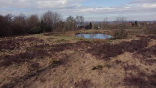 Wetley Moor Staffordshire Zdjęcia Dronów Ariel Typowego Brytyjskiego Krajobrazu Wrzosowiska — Wideo stockowe