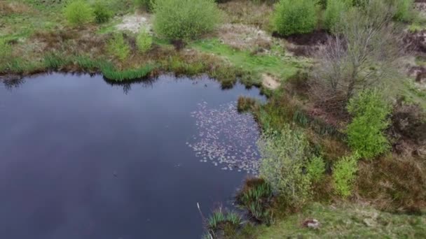 Wetley Moor Staffordshire Cinematic Ariel Drone Footage Typical Springtime Common — Stok video