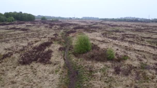 Wetley Moor Staffordshire Cinematic Ariel Drone Footage Typical Springtime Common — Stockvideo