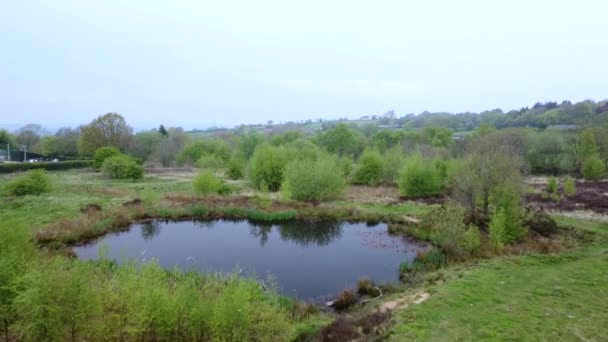 英国斯塔福德郡韦斯利摩尔 电影4K爱丽儿无人驾驶镜头一个典型的春天普通和低地荒原景观 2022年5月 — 图库视频影像