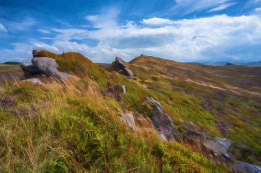 Gib Torr 'daki mor fundanın dijital tablosu Peak District Ulusal Parkı' ndaki Hamamböcekleri, Ramshaw Kayaları ve Hen Bulutu 'na bakıyor..