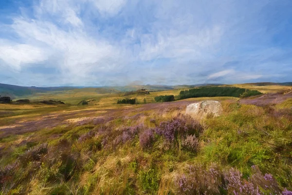 Digital abstract oil painting of purple heather in bloom during summer at Gib Torr, The Roaches in the Peak District National Park.