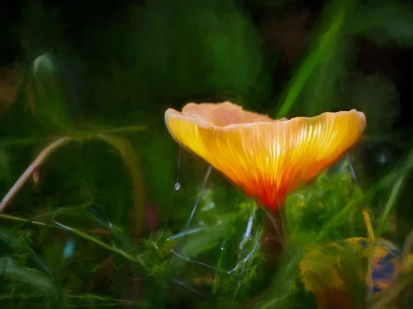 暗い魔法の魅惑的な森の中で輝く幻想的なキノコのデジタル抽象油絵 — ストック写真
