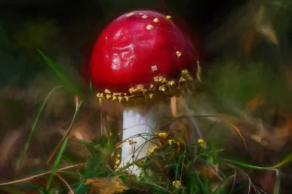 Digitaal Abstract Olieverf Van Fly Agaric Schimmel Een Herfst Bosrijke — Stockfoto