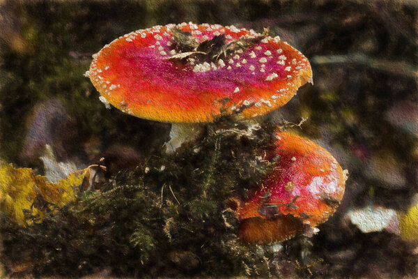 Цифровая абстрактная живопись маслом гриба Fly Agaric в окружении осеннего леса.
