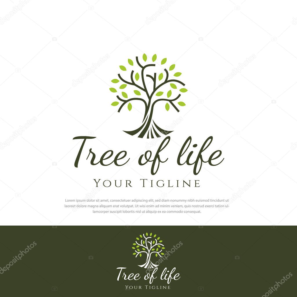 Roots of life tree logo. Vector illustration balance design template