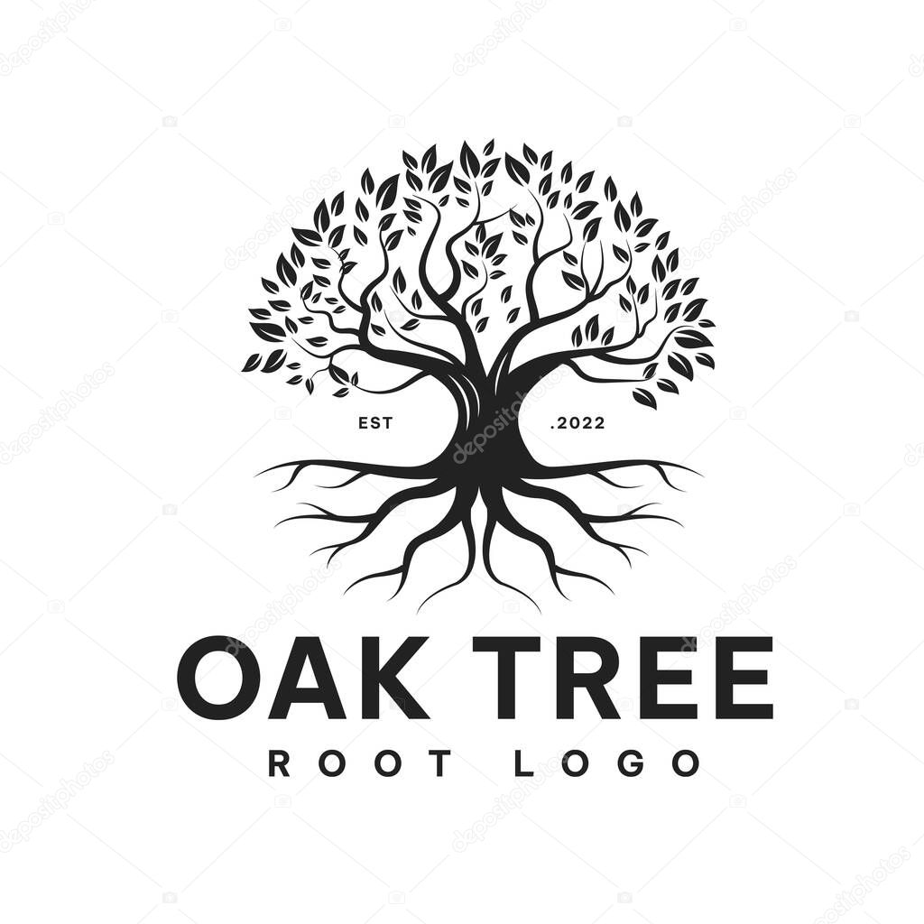 Oak Family Tree of Life logo design Creeper root tree,vector,symbol,template