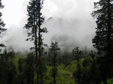 Manali, Himalayalar 'da, Himachal Pradesh' in Kullu ilçesinde yer almakta ve karla kaplı zirveleri onu popüler bir balayı merkezi haline getirmektedir..
