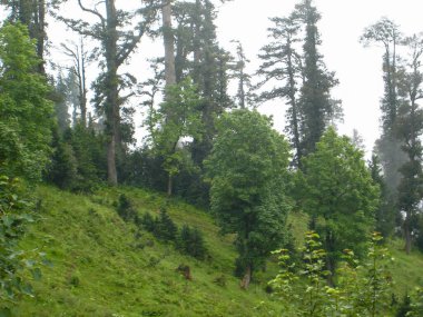 Manali, Himalayalar 'da, Himachal Pradesh' in Kullu ilçesinde yer almakta ve karla kaplı zirveleri onu popüler bir balayı merkezi haline getirmektedir..