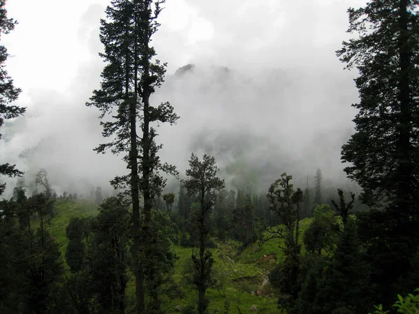 Manali Situated 398 Himalayas Located Kullu District Himachal Pradesh Its — Zdjęcie stockowe