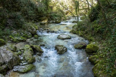 Caramanico, Abruzzo İtalya 'daki Scalelle yolunda saf su akıntısı. Tatil ve doğa yürüyüşü