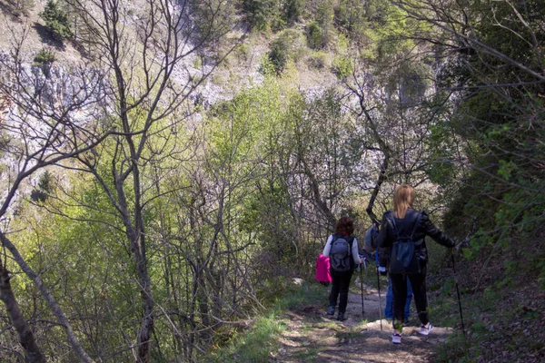 Imagem Grupo Amigos Caminhando Nas Montanhas Férias Nos Alpes Itália — Fotografia de Stock