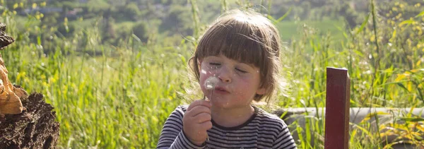 Adorable Chubby Little Girl Sitting Field Playing Blowing Flowers Horizontal —  Fotos de Stock