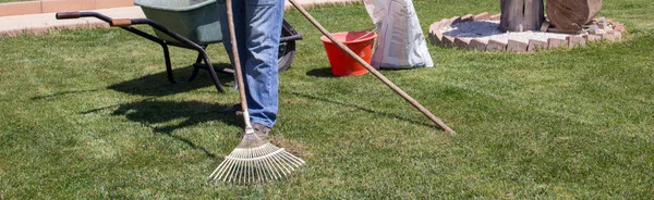 Image of a gardener picking dead and dry grass from his lawn with a rake. Horizontal banner