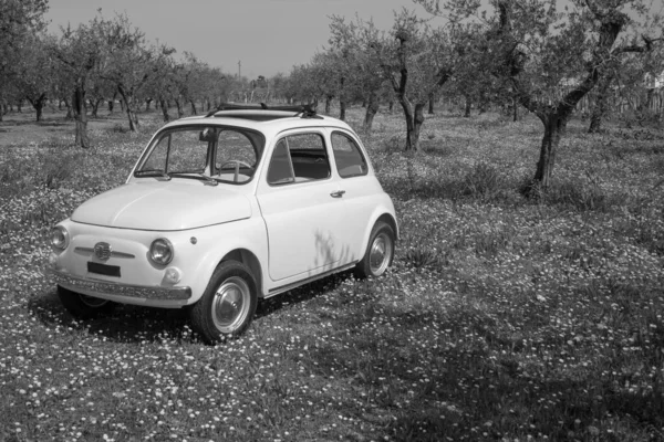 Imagen Viejo Fiat 500 Italiano Estacionado Prado Florido Fotos Blanco — Foto de Stock