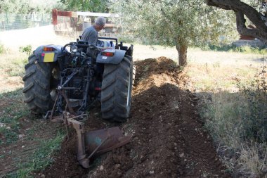 Picture of an elderly farmer who plows land with his tractor. Agricultural and tillage works